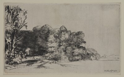 Clump of Trees with a Vista, 1652 by Pierre Auguste Renoir